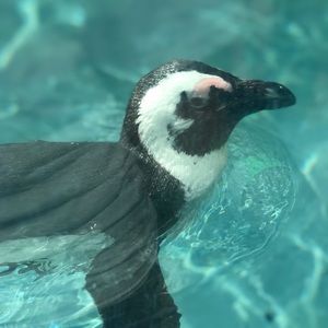 Meet your Posher, Melisa